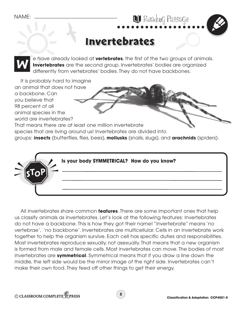 Invertebrates reading passage with spider photo: insects, mollusks, arachnids and a Stop question on symmetry