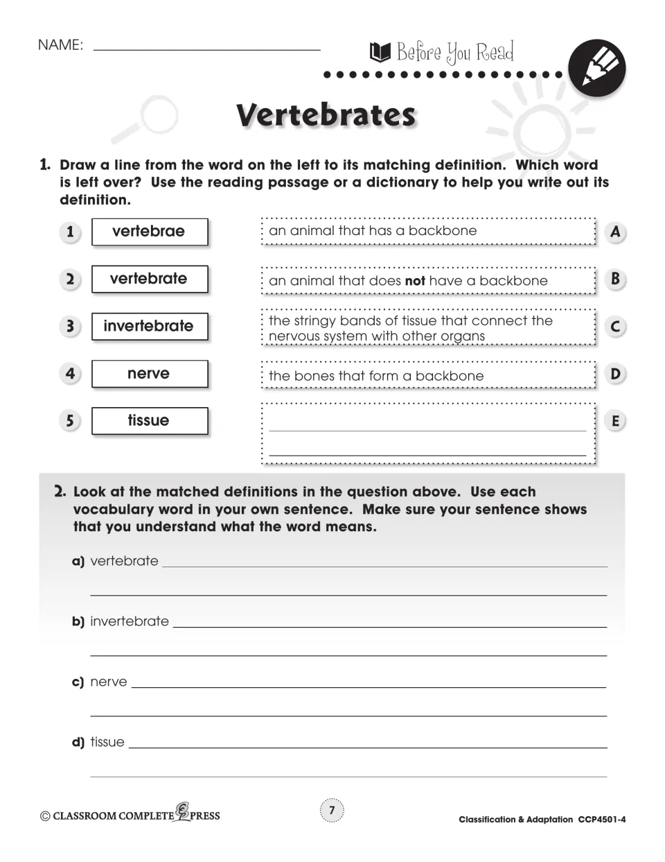 Before You Read: match vertebrae, vertebrate, invertebrate, nerve, tissue to definitions, then write sentences