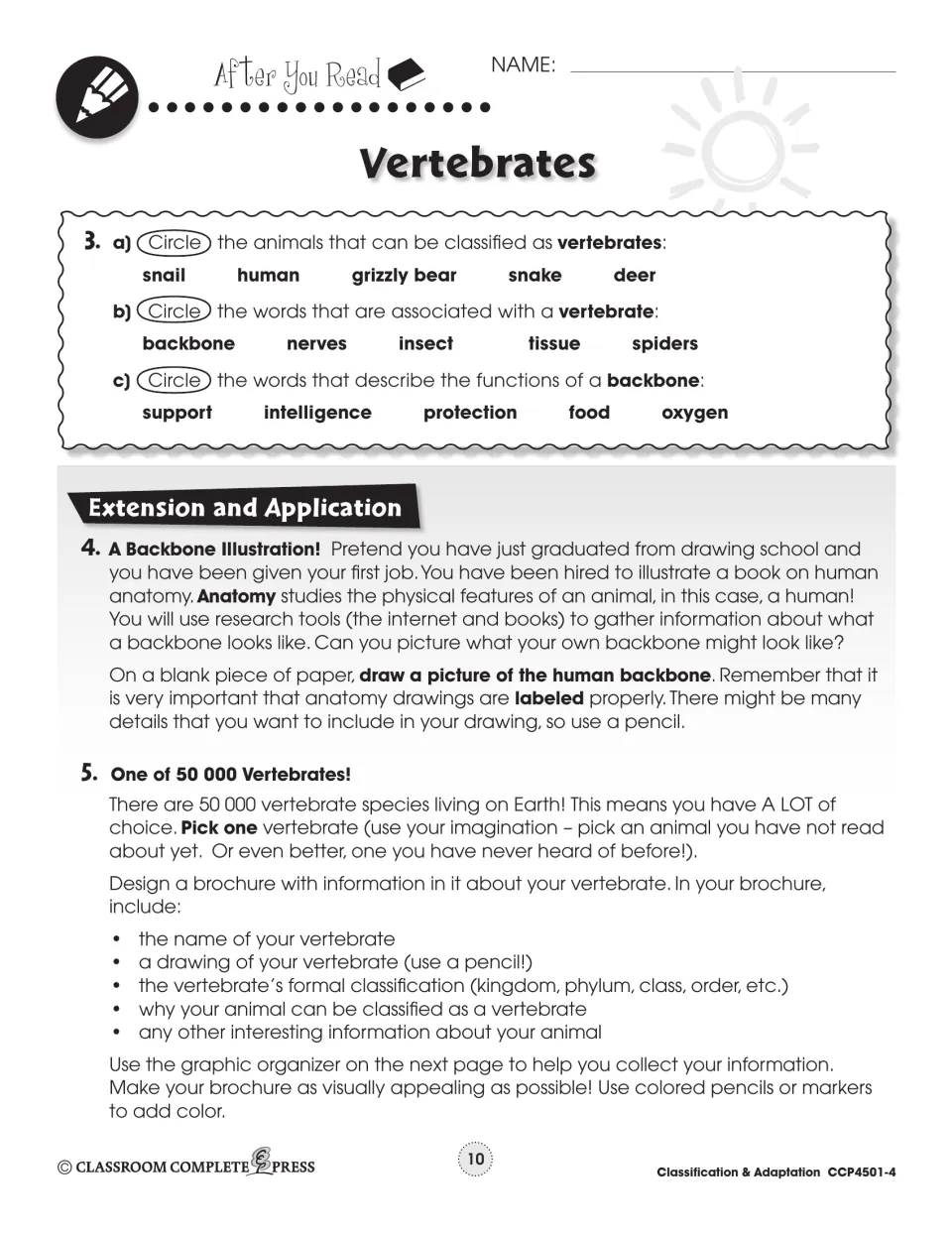 After You Read: circle vertebrates from five animals, draw a labeled backbone and design a vertebrate brochure