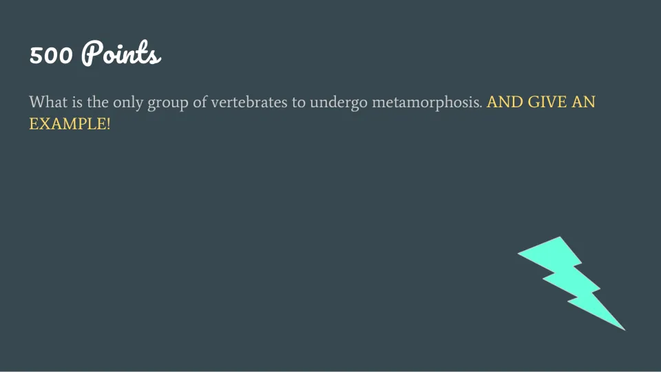 Vertebrates question slide for 500 points asks which group undergoes metamorphosis and requests an example.