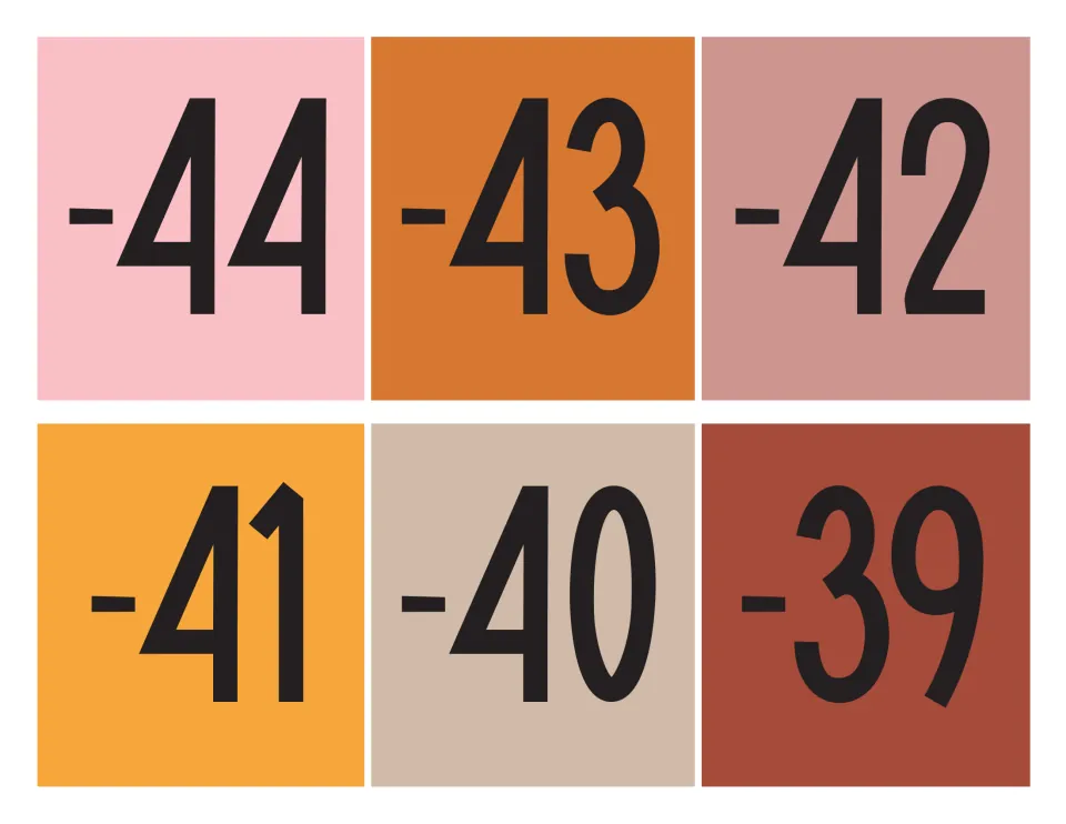 Negative number cards -44 through -39 in pink, orange, mauve, tan and rust, cut apart to continue the number line in order
