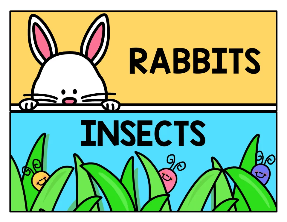 Rabbits and Insects drawer labels: a white rabbit peeking over a ledge, and smiling bugs hiding in green grass