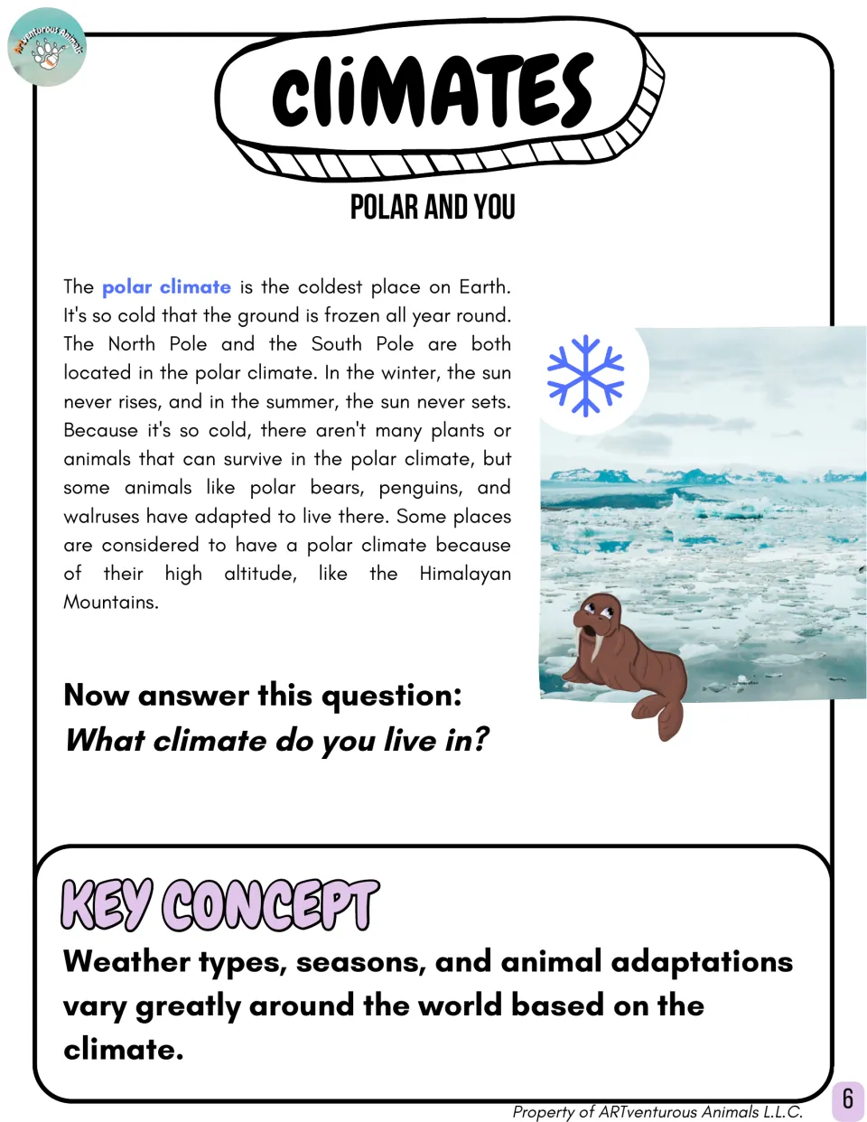 Polar reading on frozen ground, walruses and penguins, a question about where students live and a key concept summary