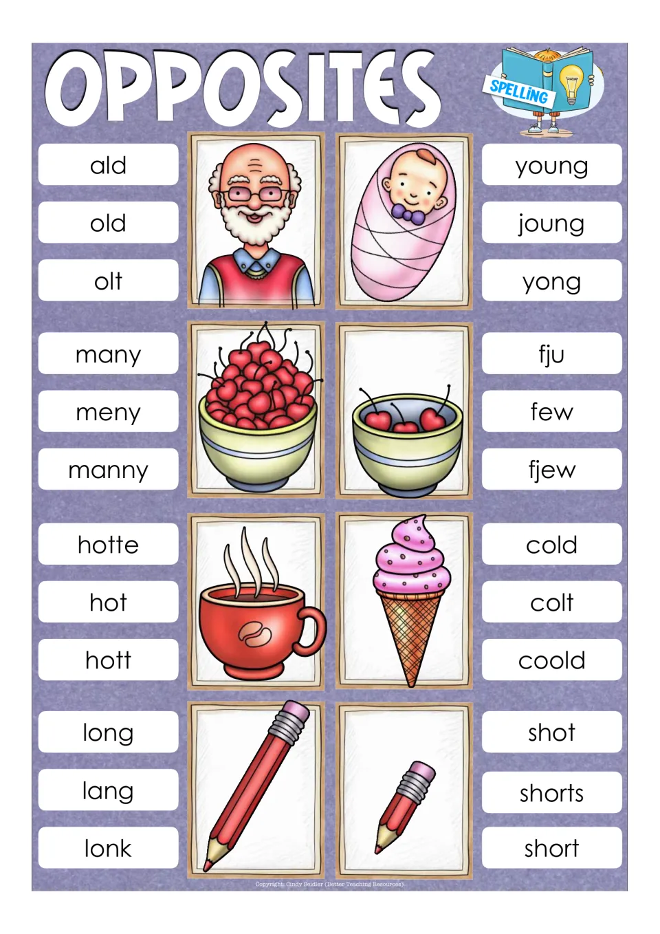 Opposites spelling cards: students pick correct spellings of old, young, many, few, hot, cold, long and short from three