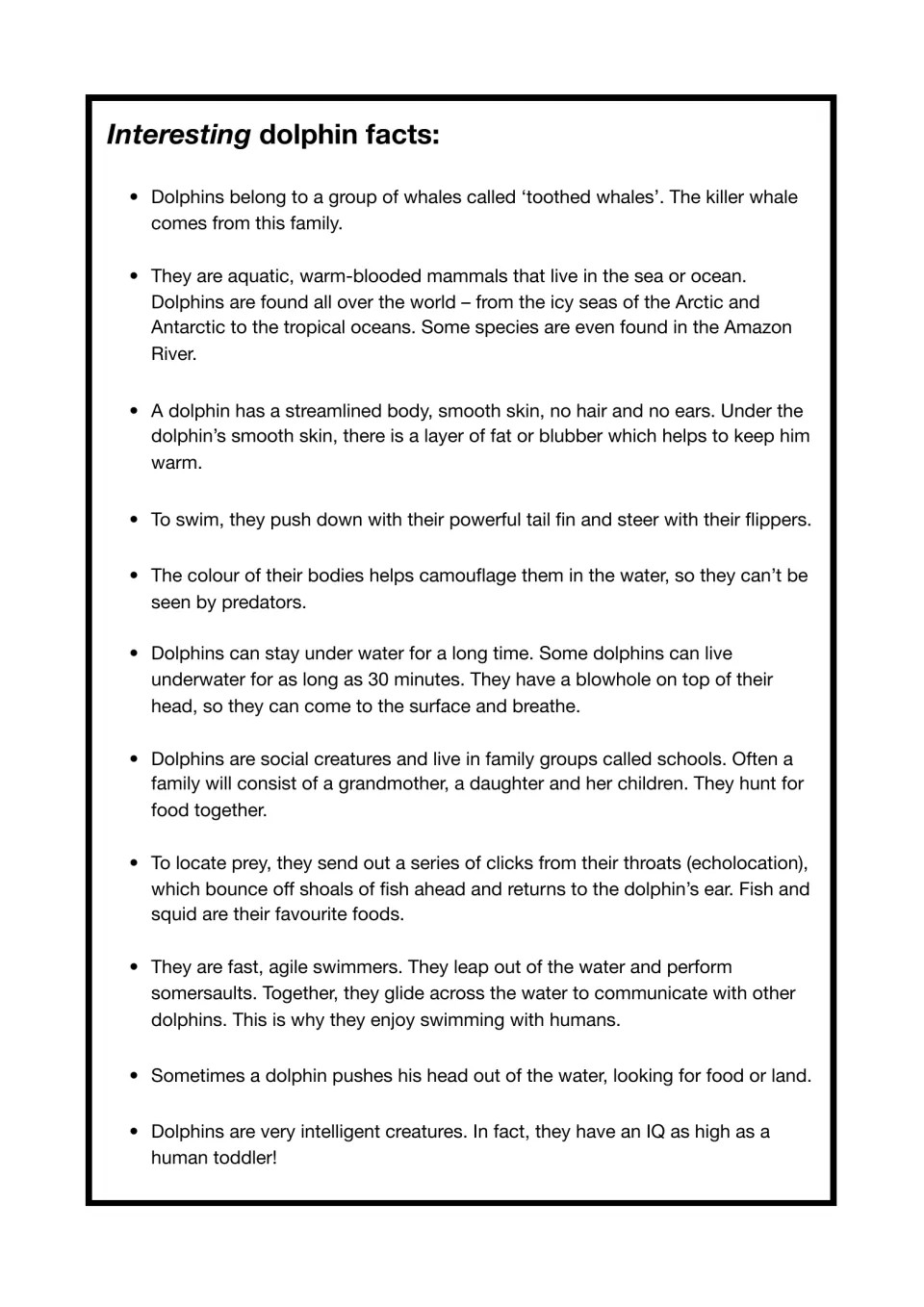 Interesting dolphin facts: bullet points on dolphin bodies, breathing, family schools, echolocation and intelligence