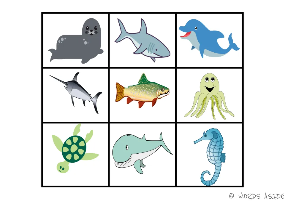 Complete color sea animal reference board: seal, shark, dolphin, swordfish, fish, octopus, turtle, whale and seahorse