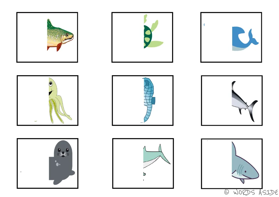 Color sea animal visual cards with left portions hidden: fish, turtle, dolphin, octopus and five more