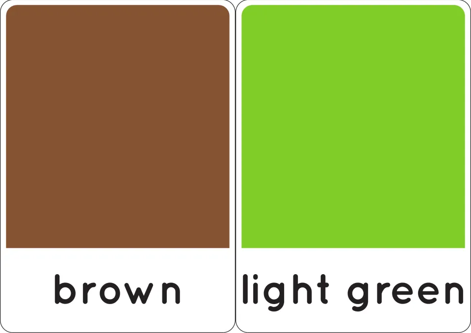 Brown and light green cards: each solid swatch sits above its printed name for naming practice