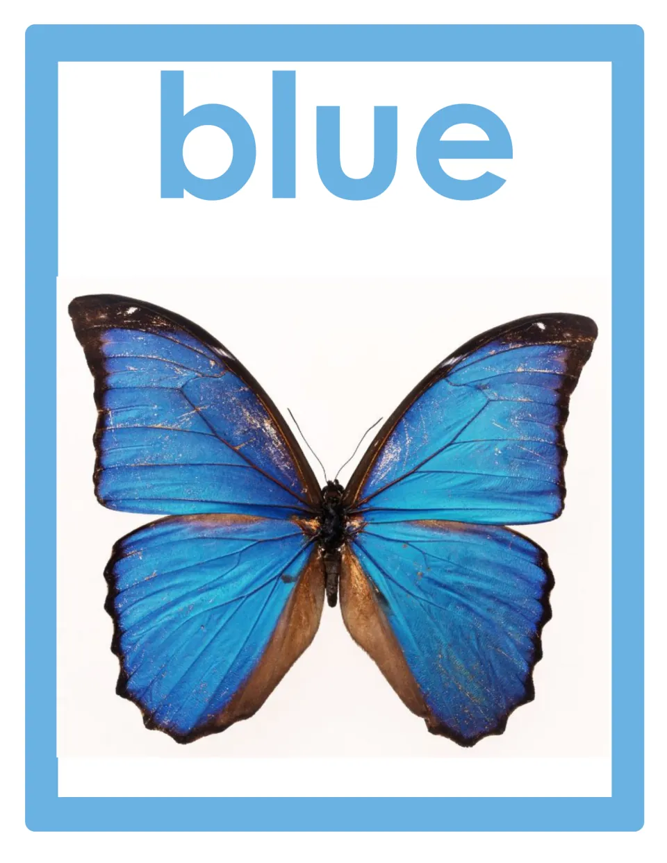 Color word poster for classroom display featuring the lowercase word 'blue' and a blue butterfly