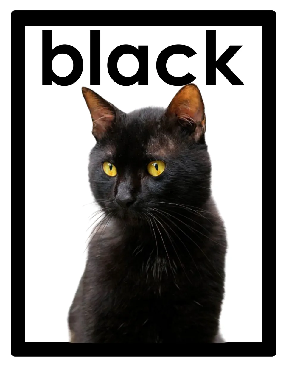 Color word poster for classroom display featuring the lowercase word 'black' and a black cat with yellow eyes