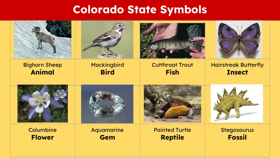 State symbols slide labeling bighorn sheep, mockingbird, cutthroat trout, hairstreak butterfly and four more