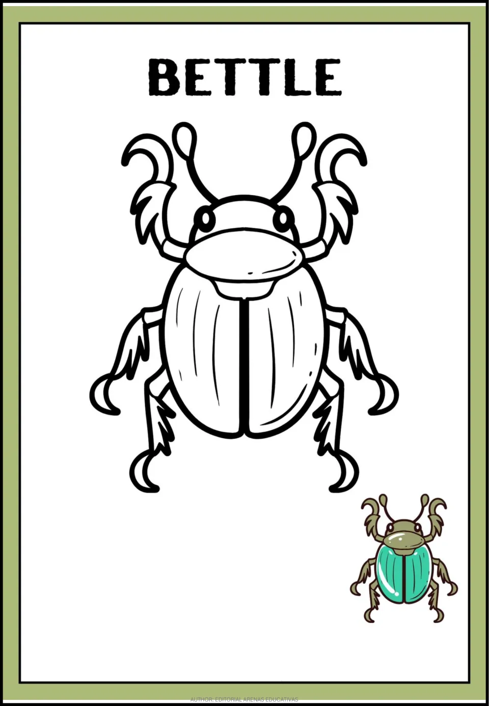 Beetle coloring page headed BETTLE: students color a large outlined beetle, using the small green beetle as a color guide