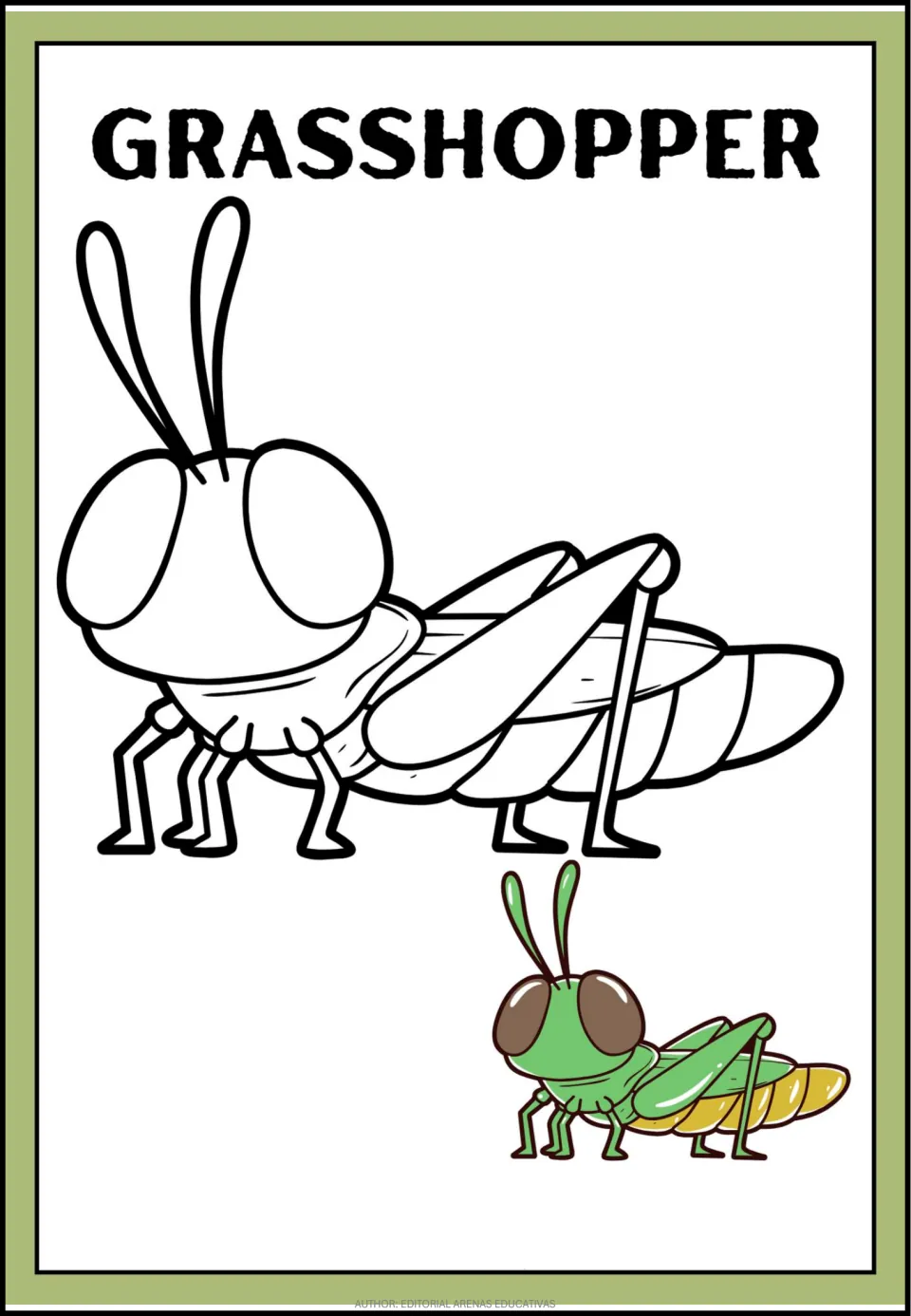 Grasshopper coloring page: students color a large-eyed grasshopper outline, with a small green and yellow model to copy