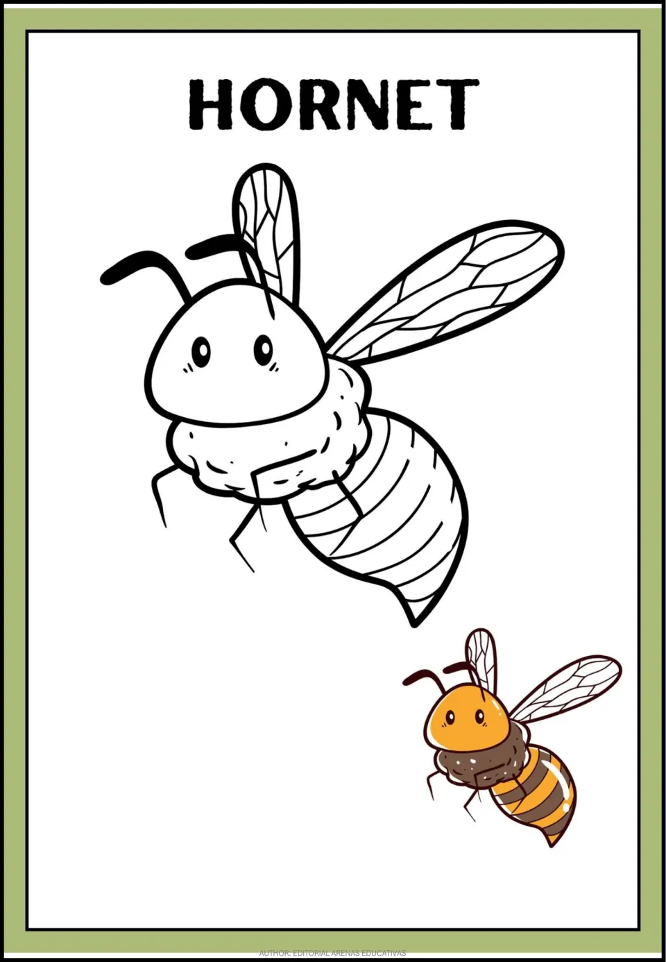 Hornet coloring page: students color a flying hornet outline with striped body and veined wings, beside an orange model