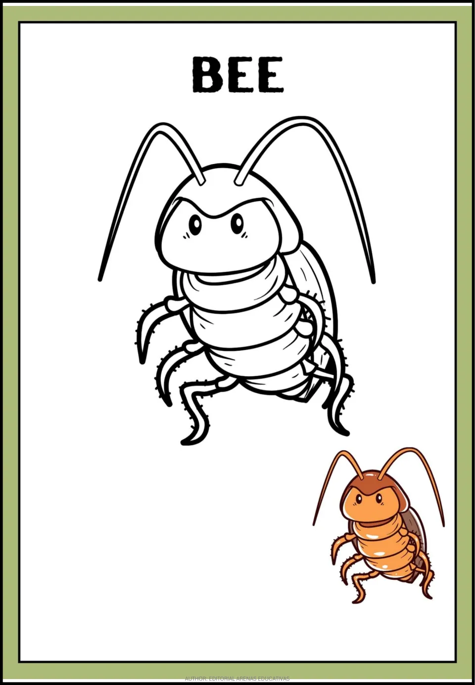 Coloring page headed BEE, but the drawing shows a cockroach with long antennae; students color it using a small brown model
