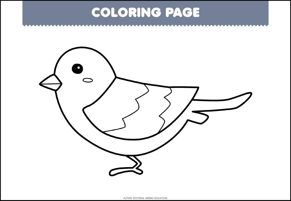 Coloring sheet 7 of 7: a bird in side view with a pointed beak, patterned wing, and long tail feathers