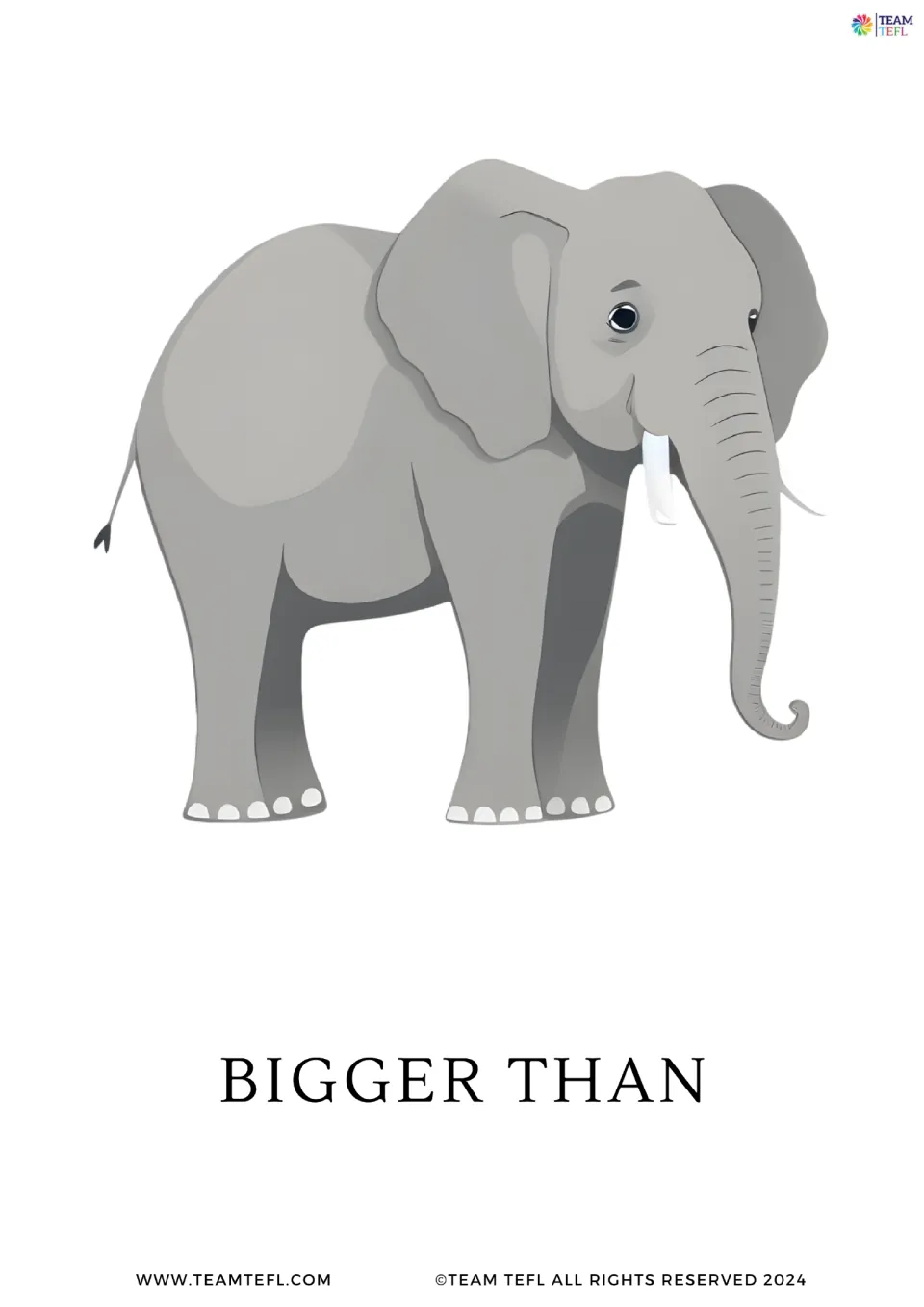 Comparative adjective card: a large gray elephant illustrates the phrase bigger than for comparing size