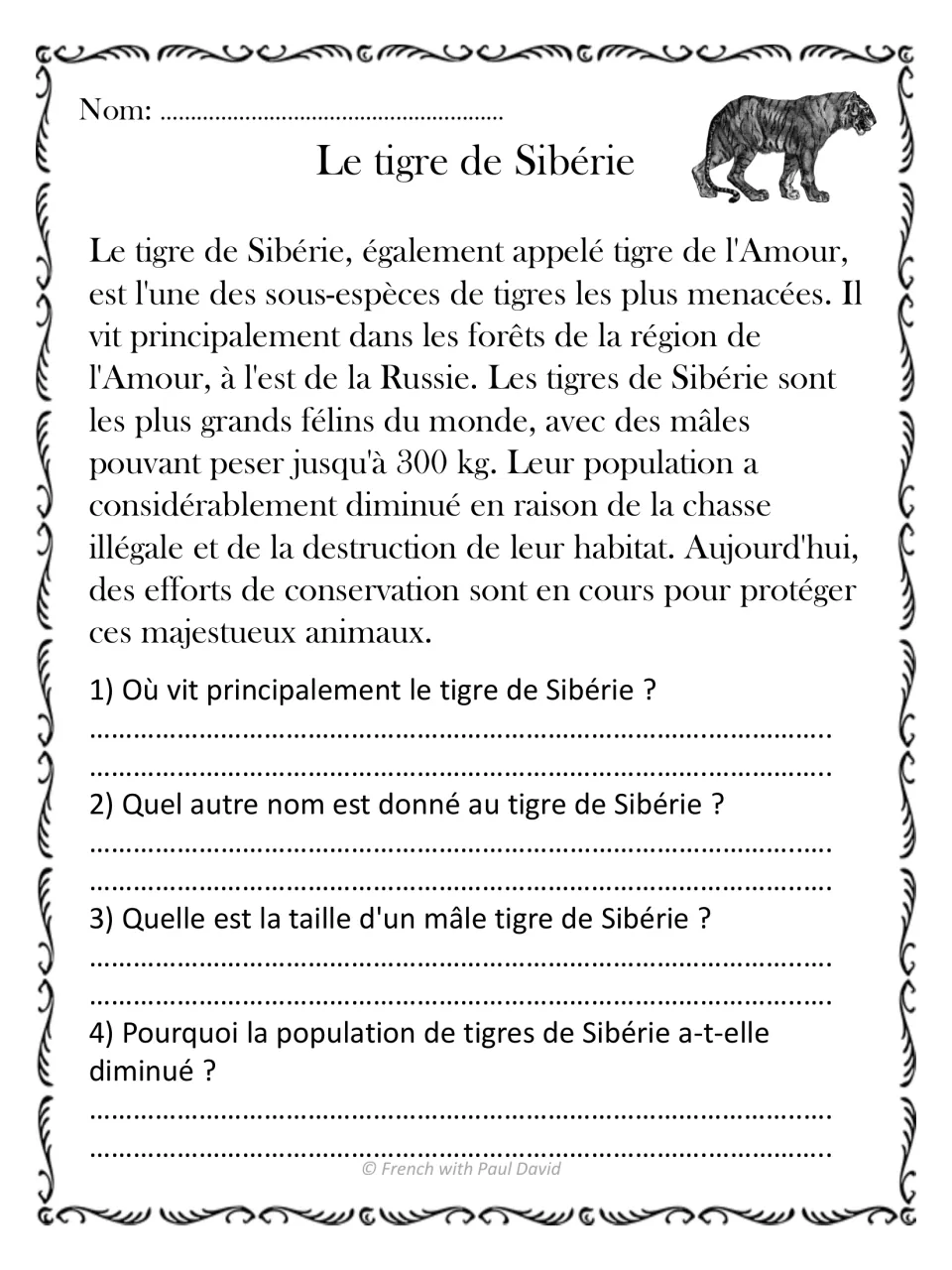 Siberian tiger French reading passage: students answer 4 questions on its habitat, other name, size and falling numbers