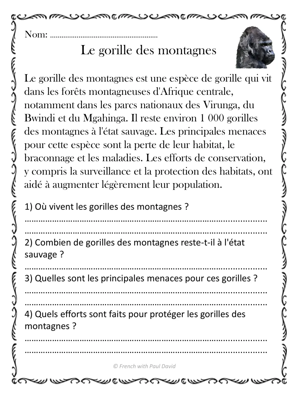 Mountain gorilla passage in French: learners answer 4 comprehension questions on range, numbers, threats and protection