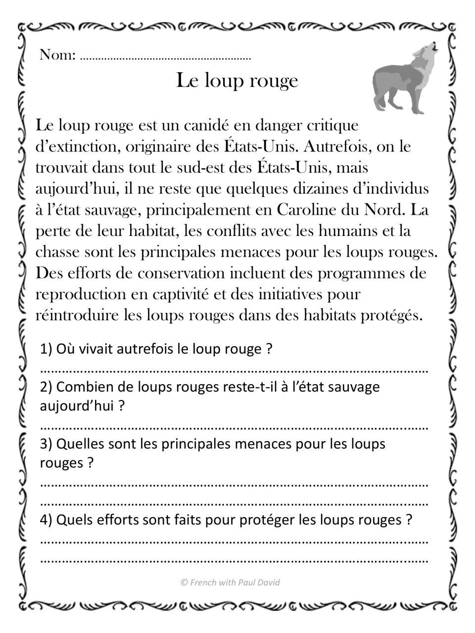 Red wolf passage in French: students answer 4 questions on its former US range, few wild survivors, threats and protection
