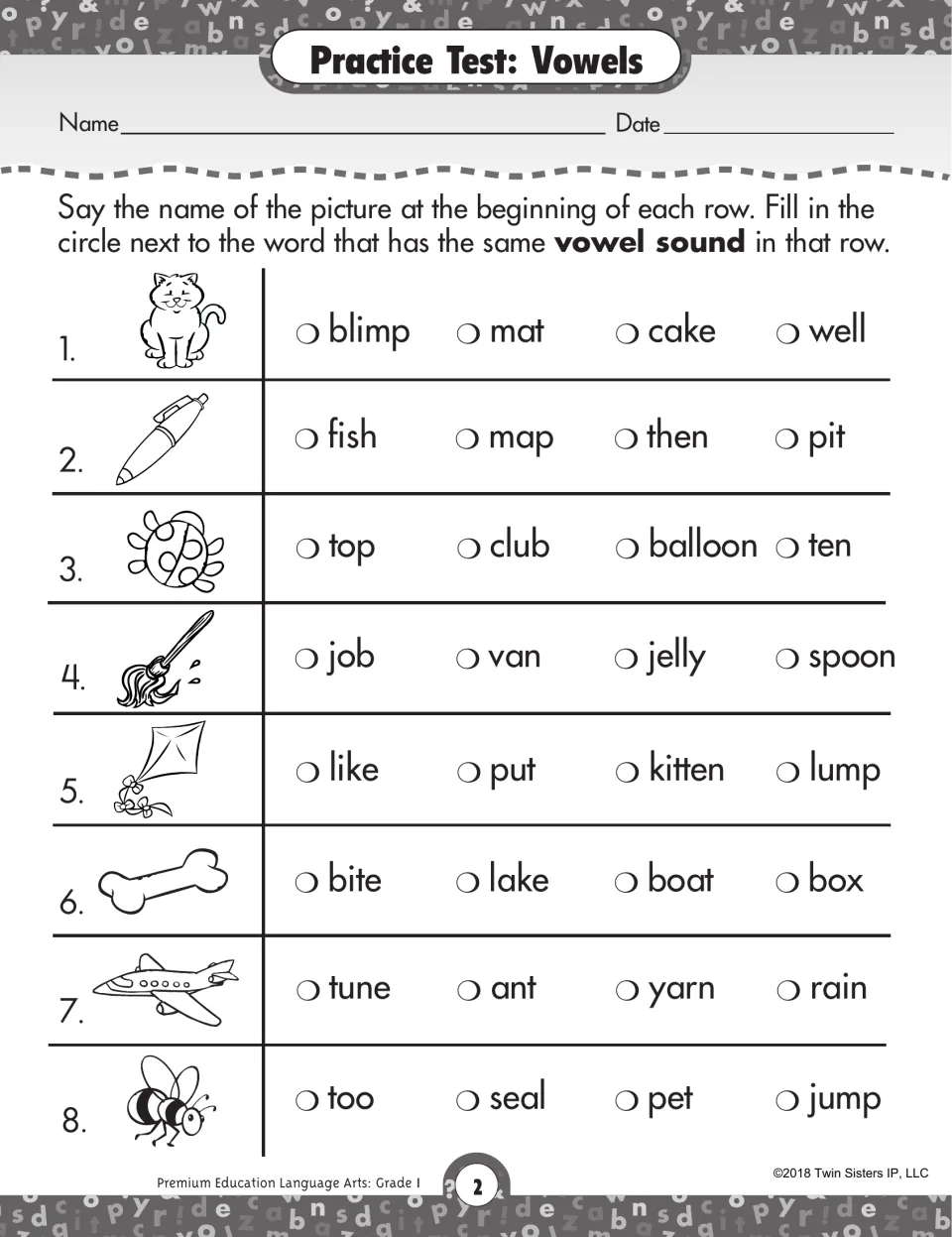 Vowel sounds test: students name 8 pictures such as a cat, kite and bone and fill in the word with the same vowel sound