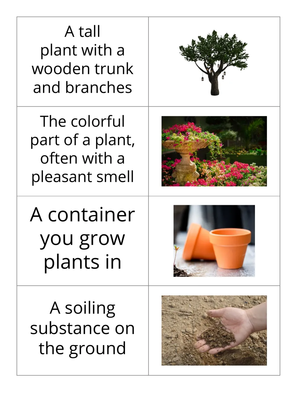 Garden vocabulary cards 9–12 pair definitions with pictures of a tree, flowers, a plant pot, and dirt.