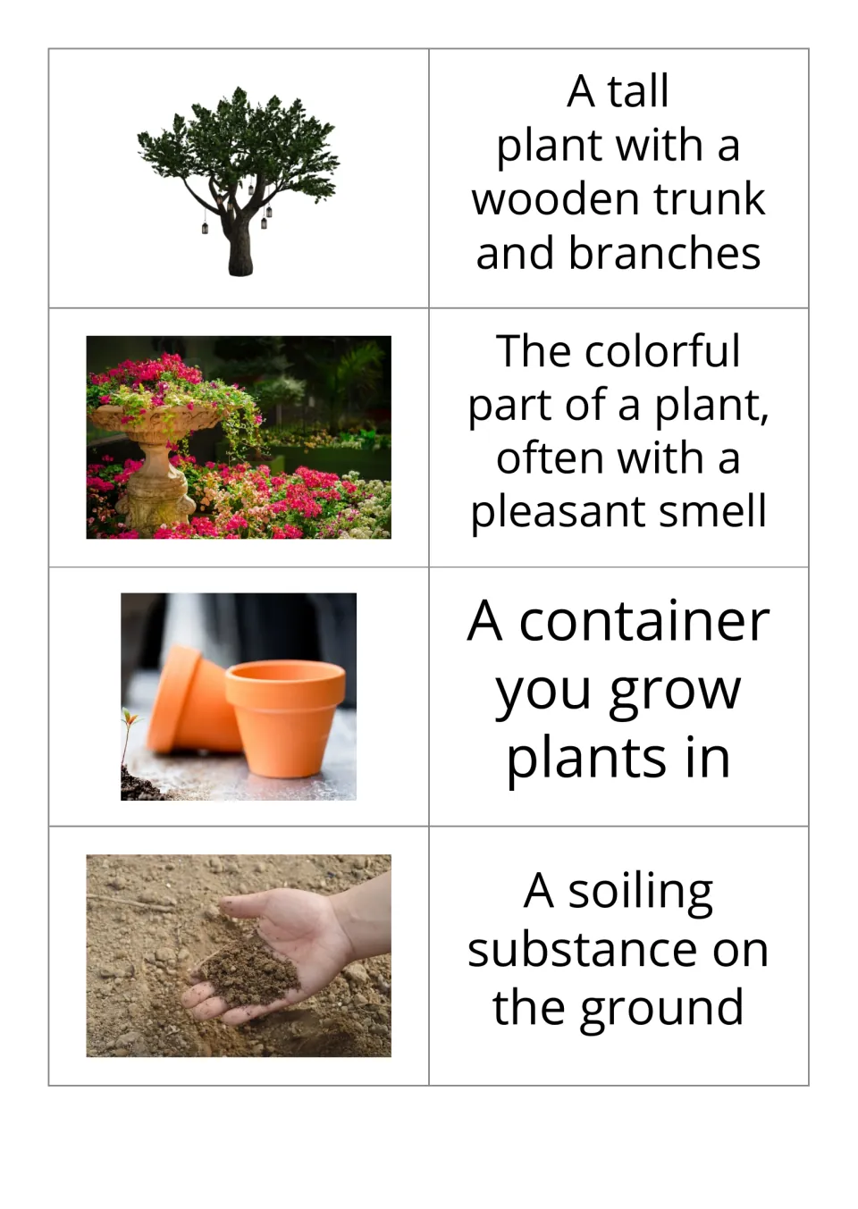 Garden vocabulary cards 9–12 show pictures of a tree, flowers, a plant pot, and dirt before their definitions.