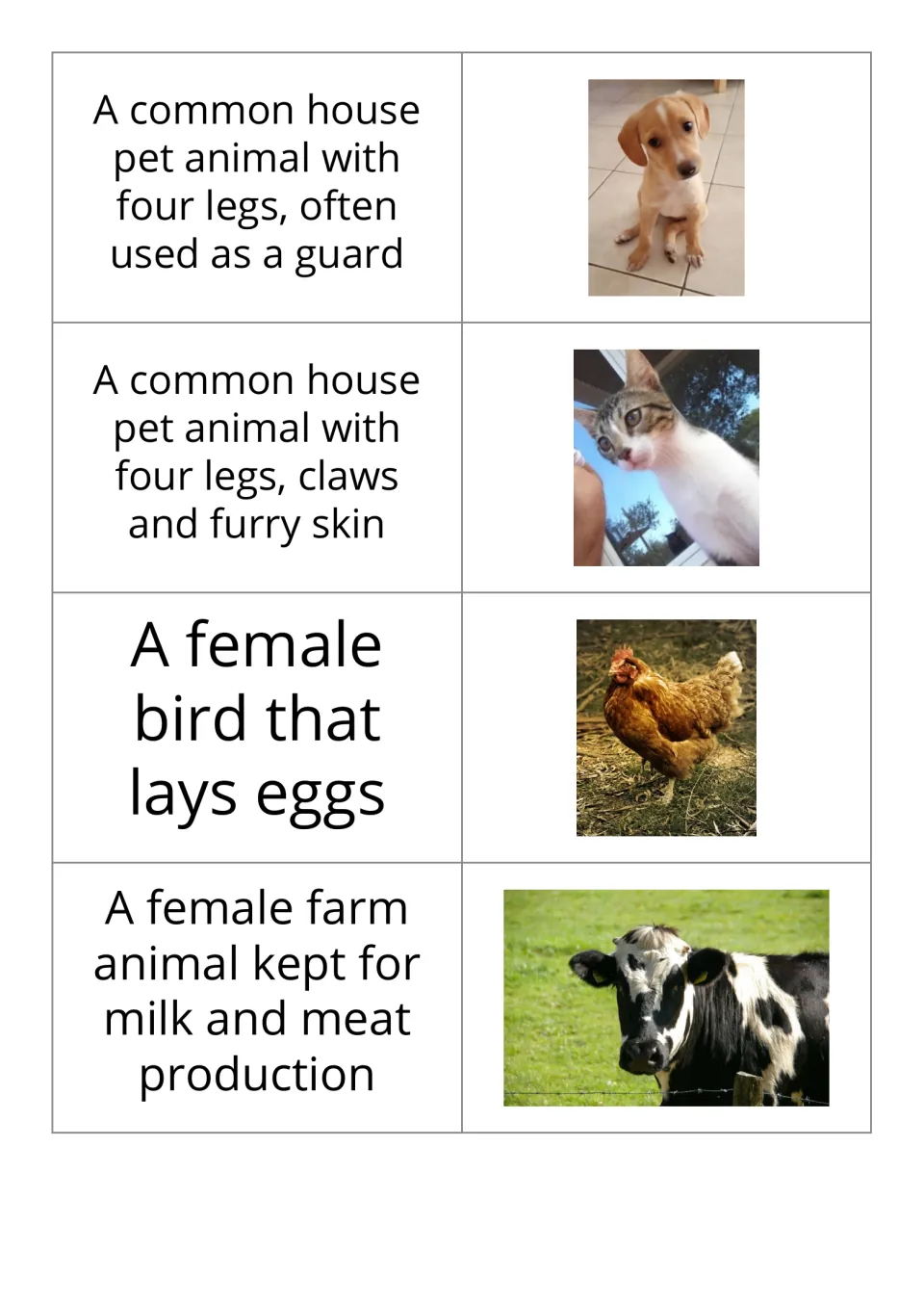 Animal vocabulary flashcards 1–4 pair definitions with photos of a dog, cat, hen, and cow.