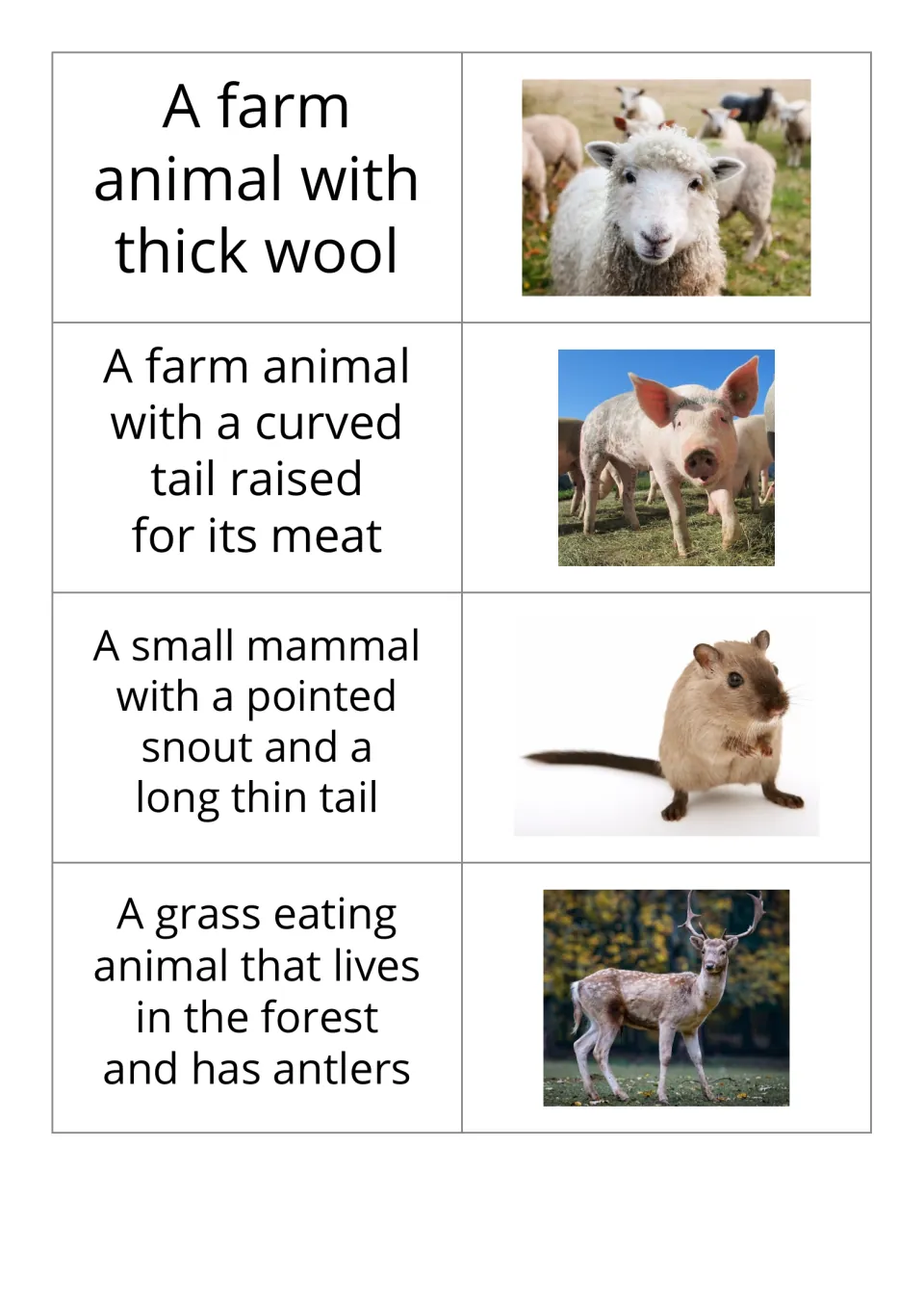 Animal vocabulary flashcards 5–8 pair definitions with photos for sheep, pig, mouse, and deer.