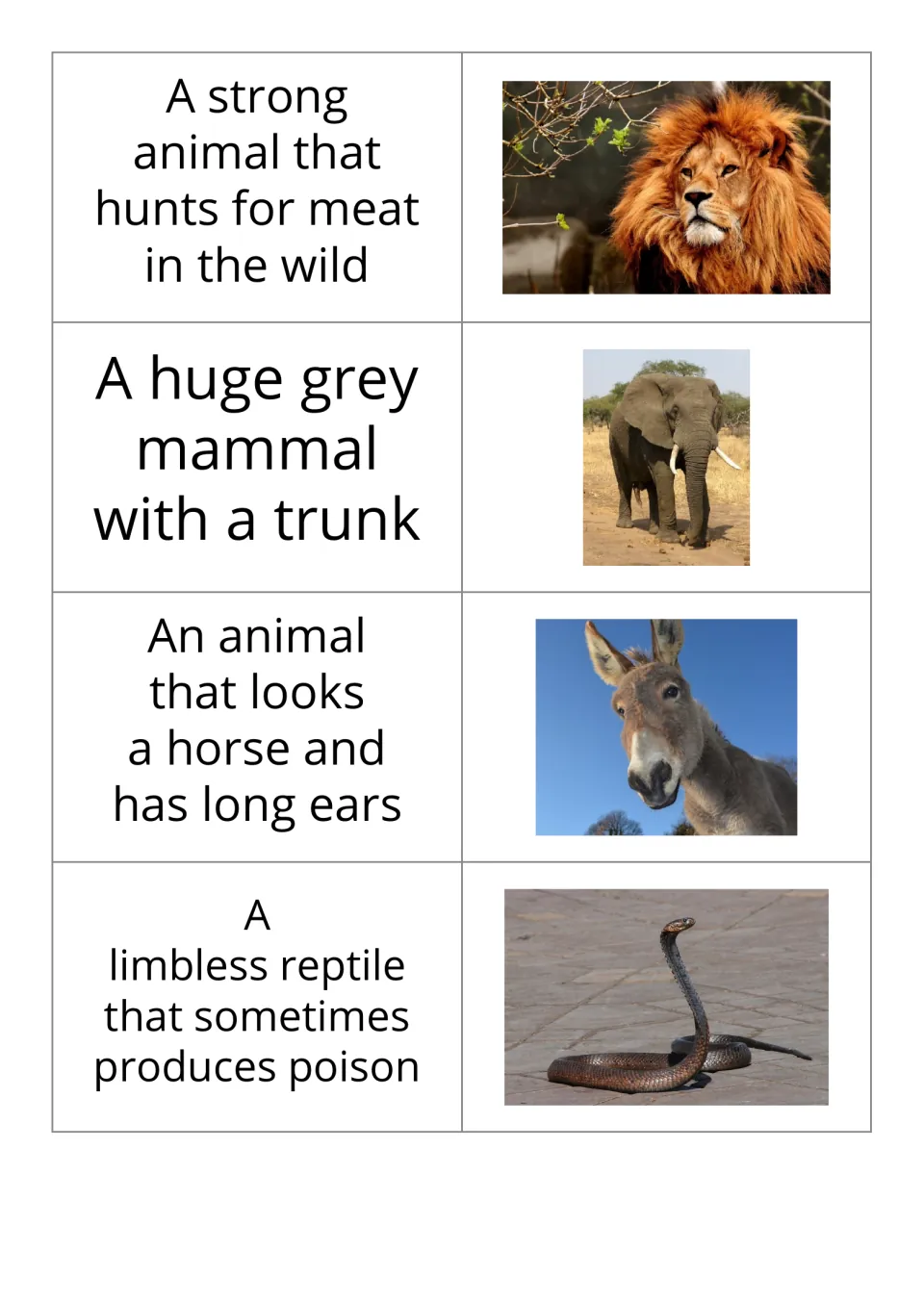 Animal vocabulary flashcards 9–12 pair definitions with photos of a lion, elephant, donkey, and snake.