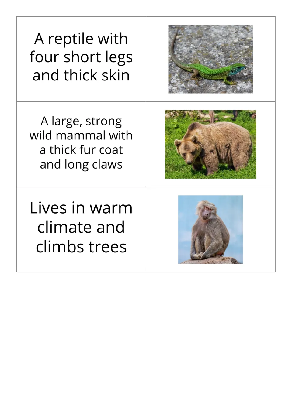 Animal vocabulary flashcards 13–15 pair definitions with photos of a lizard, bear, and monkey.