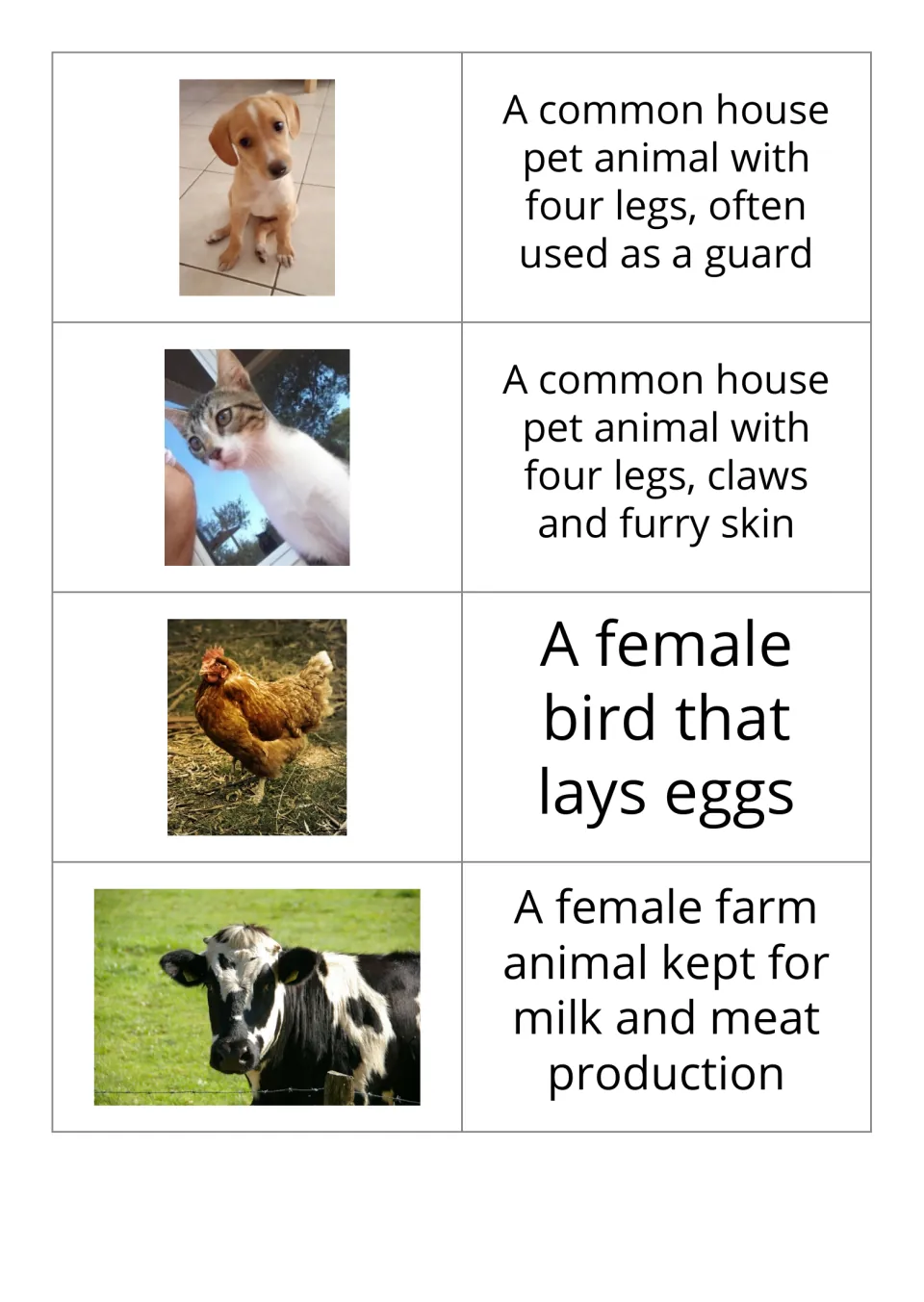 Animal vocabulary flashcards 1–4 in the reversed set pair dog, cat, hen, and cow photos with definitions.