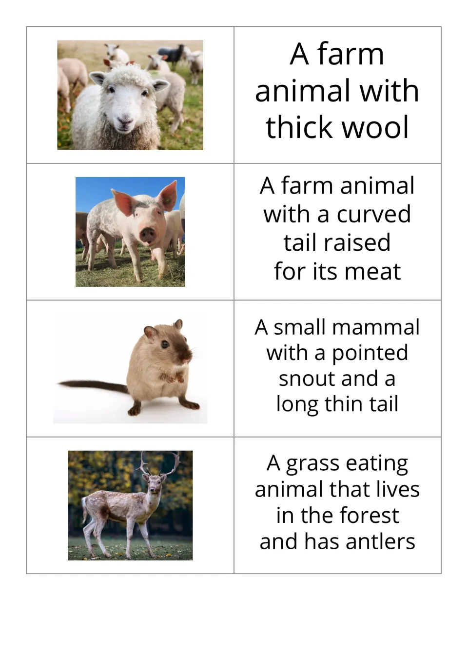 Animal vocabulary flashcards 5–8 in the reversed set pair photos for sheep, pig, mouse, and deer with definitions.