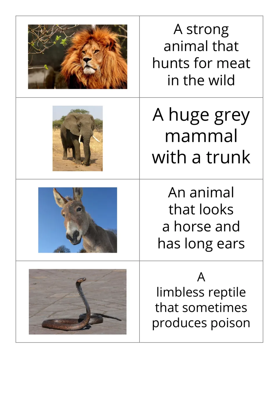 Animal vocabulary flashcards 9–12 in the reversed set pair lion, elephant, donkey, and snake photos with definitions.