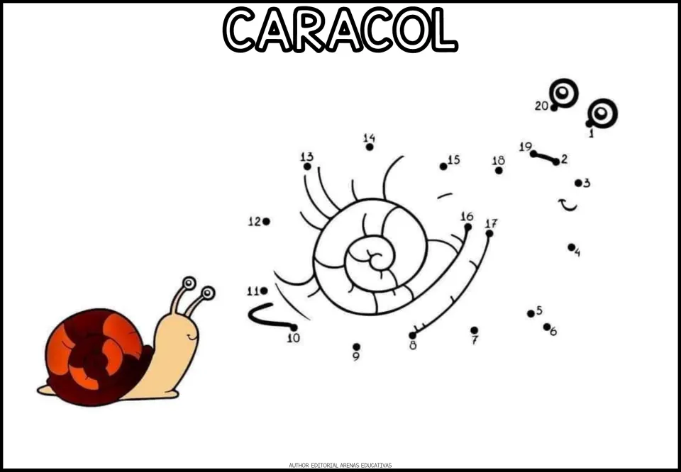 CARACOL dot-to-dot: students join numbers 1 to 20 to draw a snail's body and shell, with a red-shelled snail as a guide