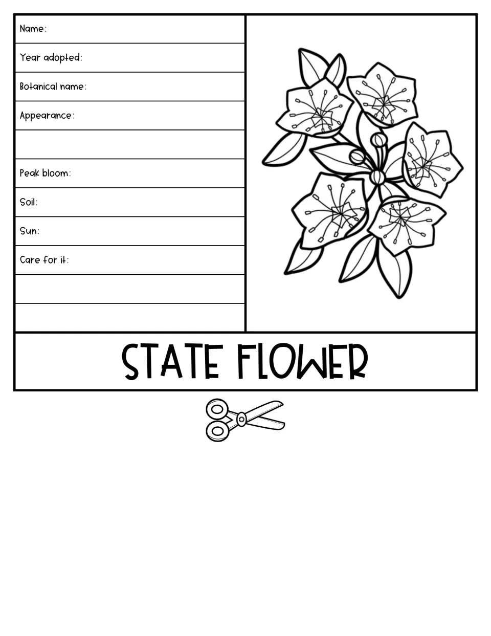 State flower flap with a flower drawing; students note name, botanical name, appearance, peak bloom, soil, sun and care