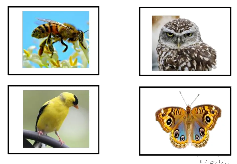 Air-animal photo cards 1–4 of the six-card set: bee, owl, yellow bird, and butterfly for vocabulary practice