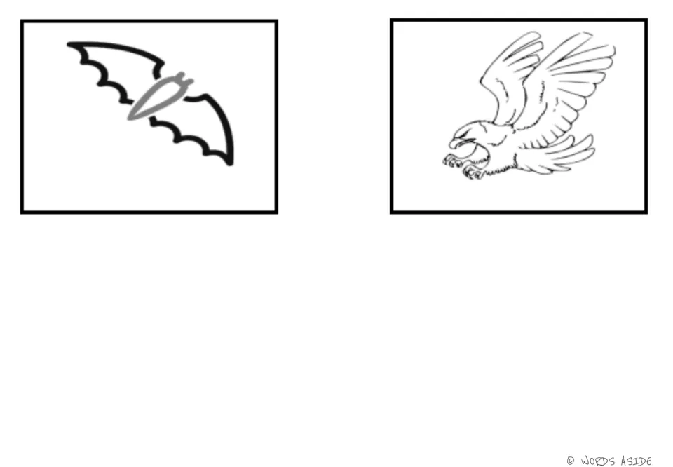 Air-animal illustrated cards 5–6 in the first symbol set: bat and eagle for vocabulary and matching
