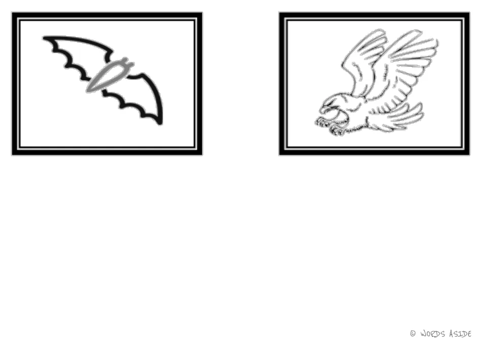 Air-animal illustrated cards 5–6 in the second symbol set: bat and eagle for vocabulary and matching