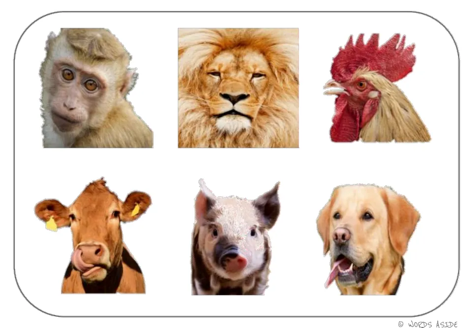 Animal vocabulary photo mat for matching: monkey, lion, rooster, cow, pig, and dog, shown together