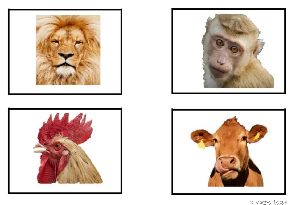 Animal vocabulary photo cards 1–4 of the six-card set: lion, monkey, rooster, and cow for matching