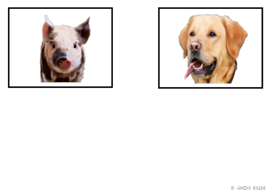 Animal vocabulary photo cards 5–6 of the six-card set: pig and dog, completing the photo matching set