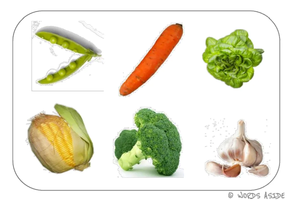 Color photo vocabulary mat showing peas, carrot, lettuce, corn, broccoli, and garlic for language activities