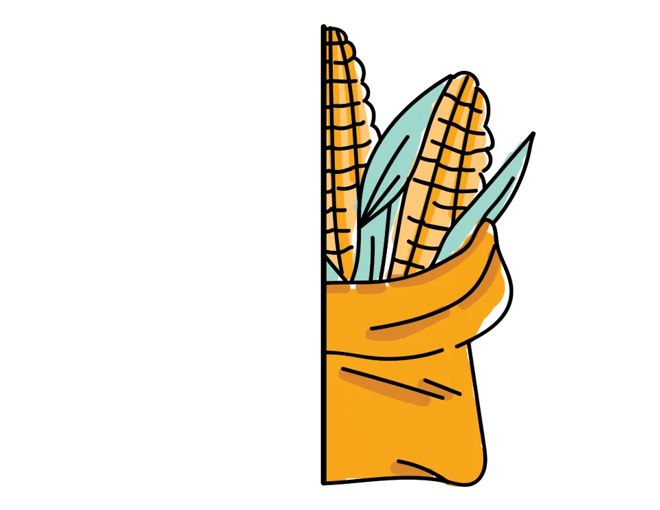 Front cover cut-out piece: right half of a drawing of corn ears in an orange sack, to glue on the front of the foldable