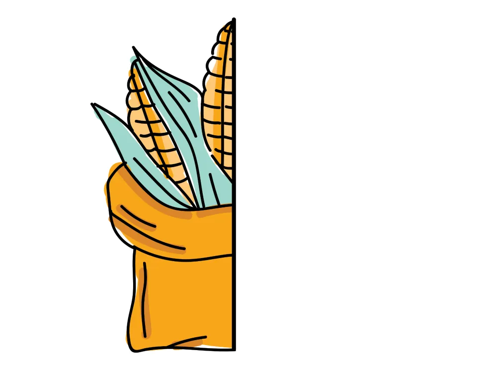 Front cover cut-out piece: left half of the corn ears in a sack drawing, which joins the right half at the fold