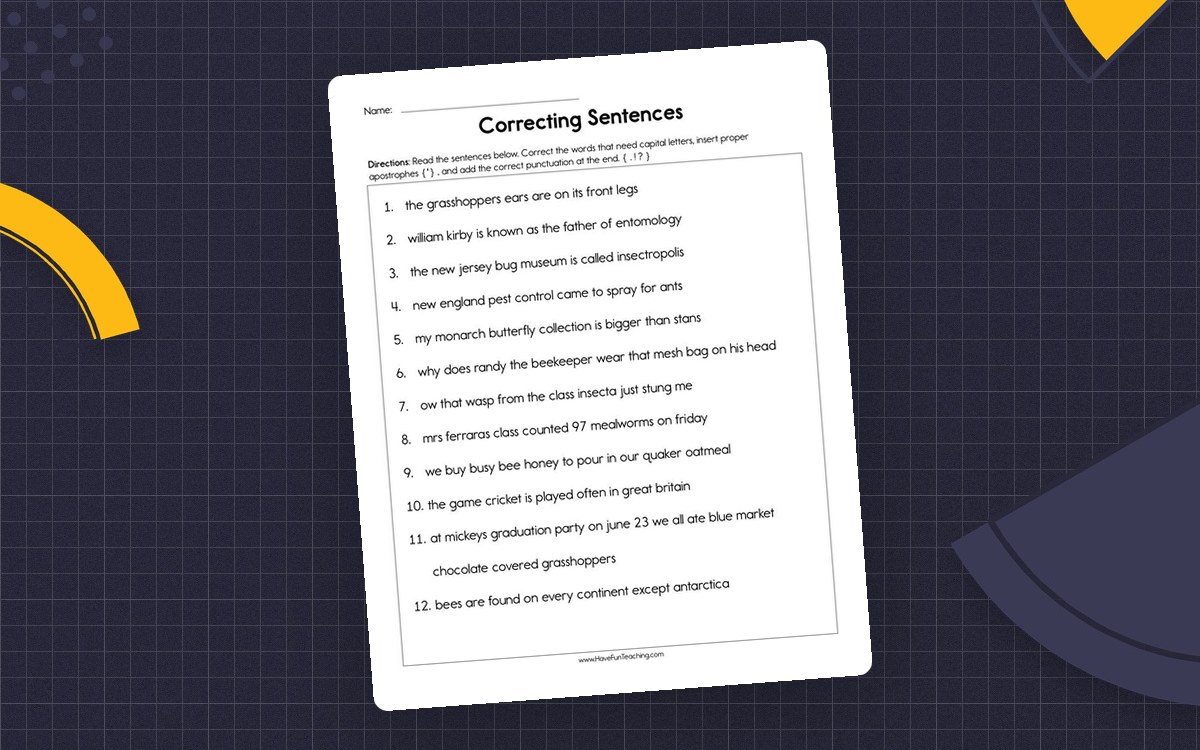Correcting Sentences Worksheet preview: Twelve unedited thematic sentences