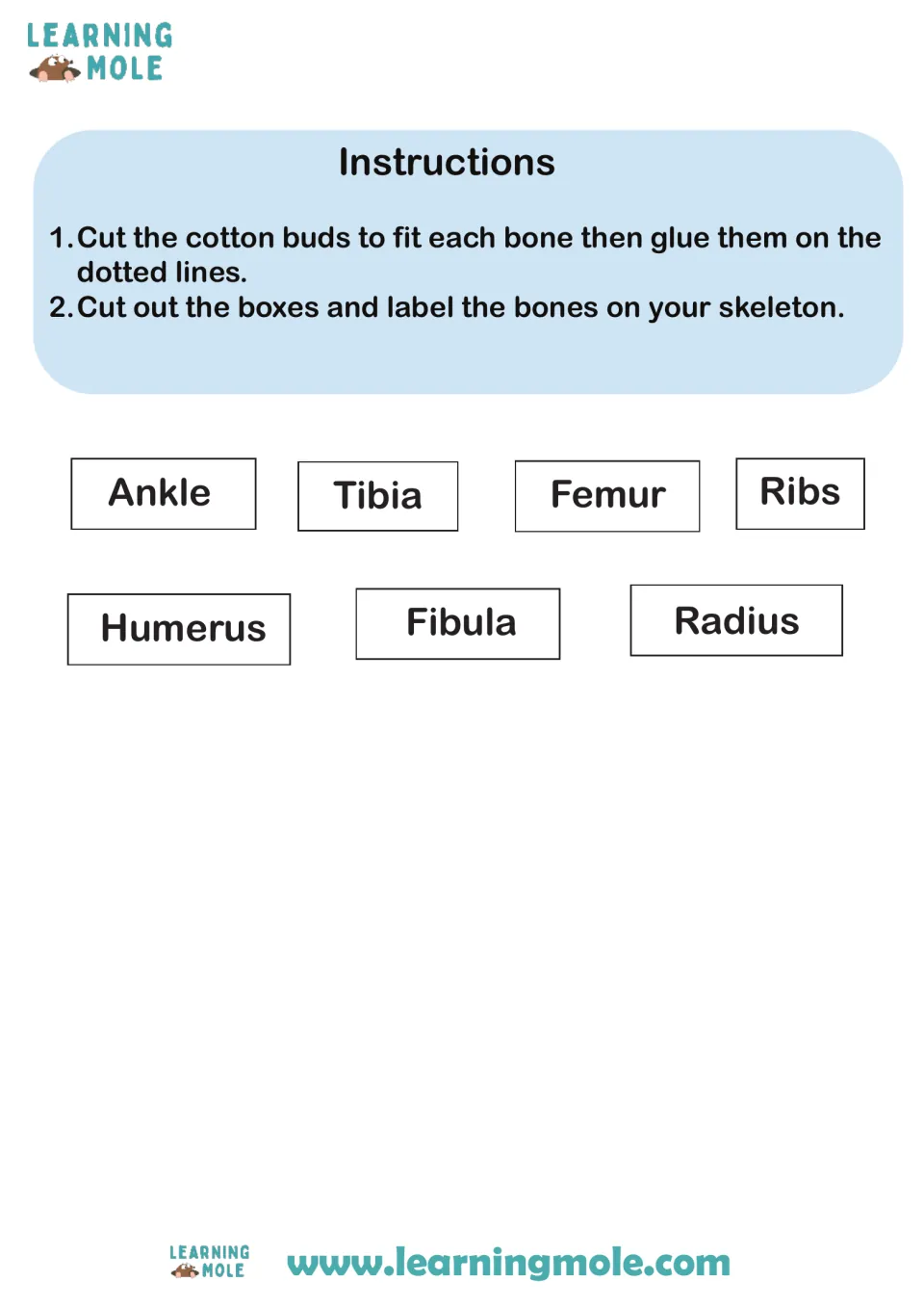 Bone labeling: cut-and-glue steps plus seven cut-out labels: ankle, tibia, femur, ribs, humerus, fibula and radius