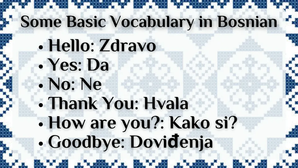 Bosnian vocabulary slide: Zdravo (hello), Da (yes), Ne (no), Hvala (thank you), and two more expressions