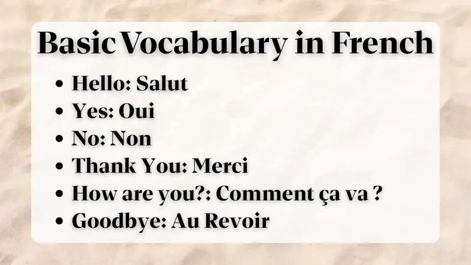 French vocabulary slide: Salut (hello), Oui (yes), Non (no), Merci (thank you), and two more everyday phrases