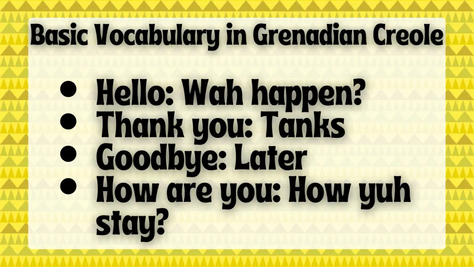 Creole vocabulary slide: Wah happen? (hello), Tanks (thank you), Later (goodbye), and How yuh stay? (how are you)